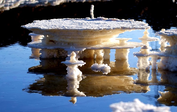 點(diǎn)擊查看大圖