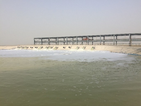 點(diǎn)擊查看大圖